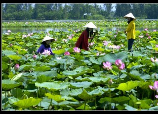 DISCOVER SOUTH OF VIETNAM IN 4 DAYS 3 NIGHTS (GROUP TOUR)